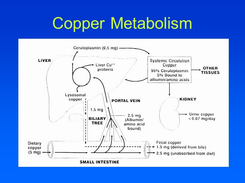 Copper Metabolism
